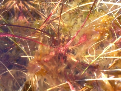 2013-09-09 16.12.16.jpg