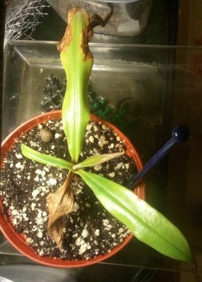 2012-05-28 21.25.45.jpg