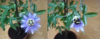 DSCF5151.JPG