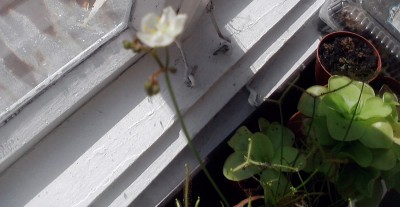 P240812_10.36-001.jpg