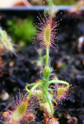 DSCF2852.JPG