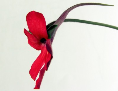 IMG_8260.jpg