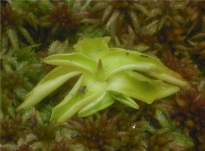 DSCF4688.JPG