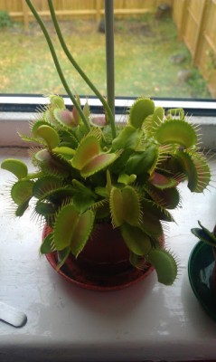 p330IMAG2153.jpg