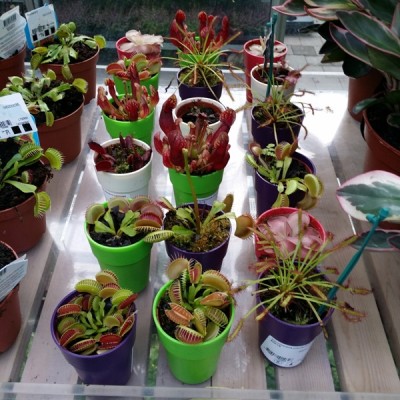 2013-10-28 12.33.26.jpg