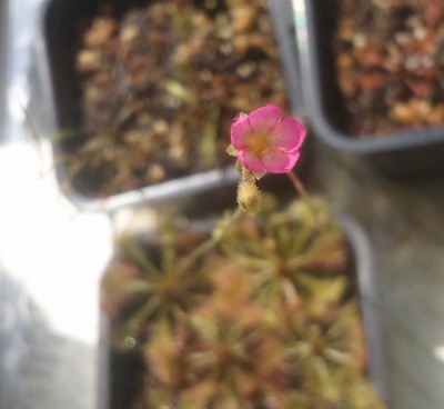 2012-07-28 11.29.47.jpg