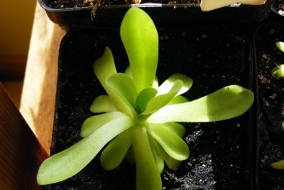 DSCF5508.JPG