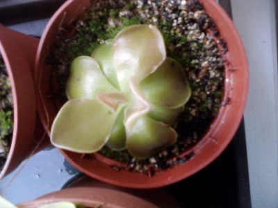 P070912_18.15_[04].jpg