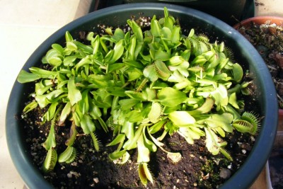 DSCF1038.JPG