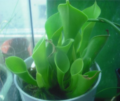 DSCF4958.JPG