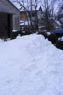 DSCF3245.JPG