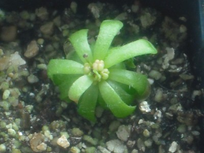 DSCF4409.JPG