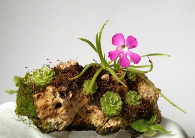 Luitas II 2014-09-03 1.jpg