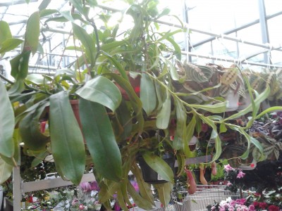 2013-11-11 12.14.16.jpg