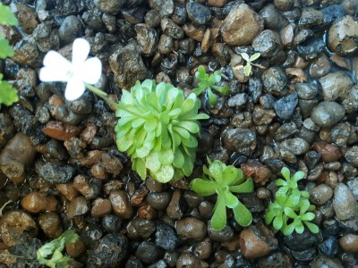 20150409_100925.jpg