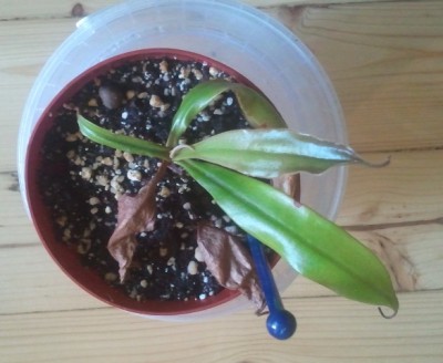 2012-06-08 19.00.22.jpg