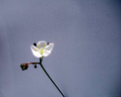P240812_10.37.jpg