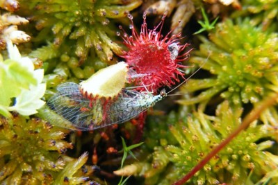 DSCF7157.JPG