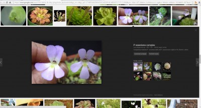 eserio-jaumavo.jpg