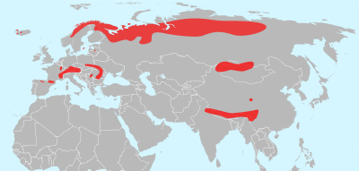 800px-Pinguicula_alpina_distribution.svg.png