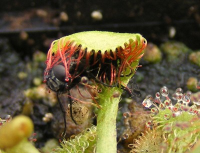 DSCF6745.JPG