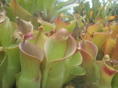 2013-04-06 13.59.26.jpg