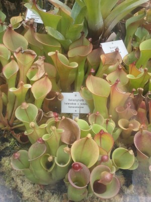 2013-04-06 13.59.18.jpg