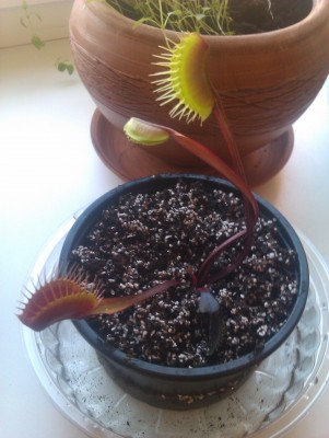 IMAG3078.jpg