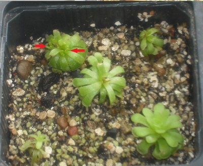 DSCF4416.JPG