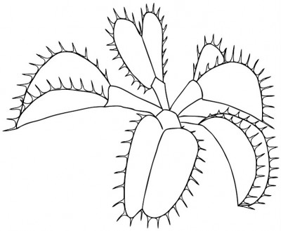 SVETAIN4S LOGO 6.3-kompiuteriu.jpg