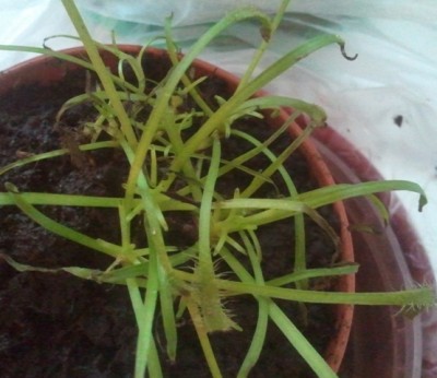 2012-01-22 15.38.24.jpg