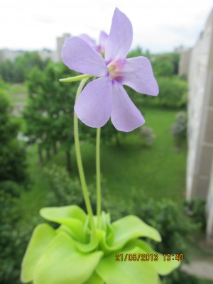 IMG_2609.JPG