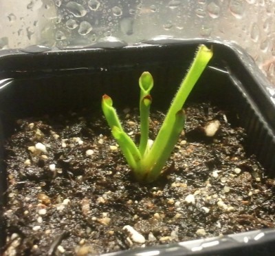 2012-01-22 15.14.56.jpg