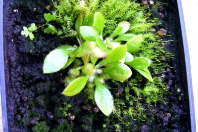 DSCF5483.JPG