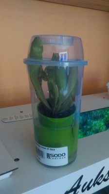 tmp_32743-IMAG0008-1009171039.jpg