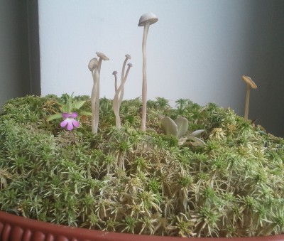 2012-08-10 17.59.34.jpg