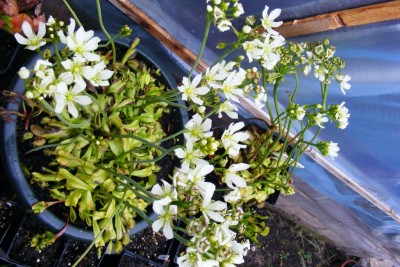 DSCF2072.JPG