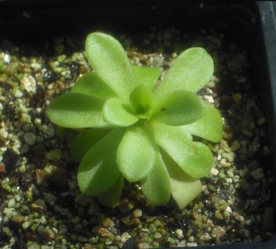 DSCF4419.JPG