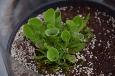 Nuotraukos 002.jpg