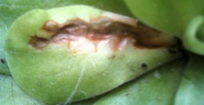 IMG_20120918_190612.jpg