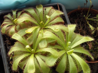 HPIM4753.JPG