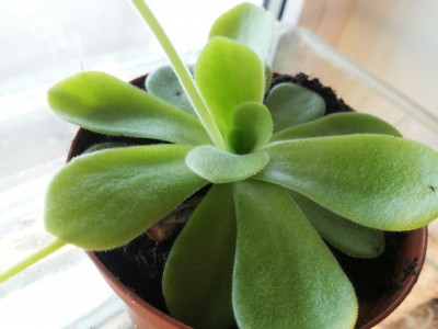 20150420_184334.jpg