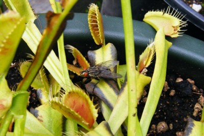 DSCF2114.JPG