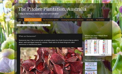 The Pitcher Plantation Australia.jpg