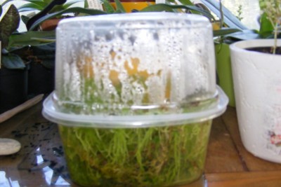 DSCF6432.JPG