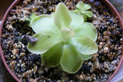 DSCF2648.JPG