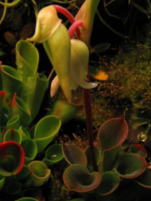 2014-11-29.jpg
