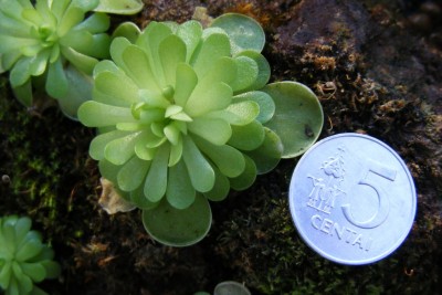DSCF1381.JPG