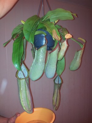 20130916_203543.jpg