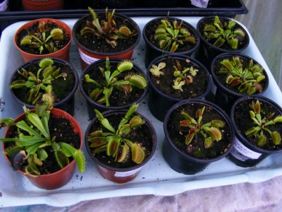 DSCF2607.JPG